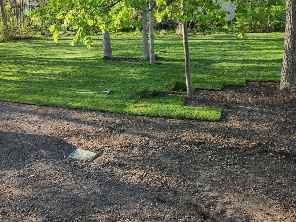 Sod Installation